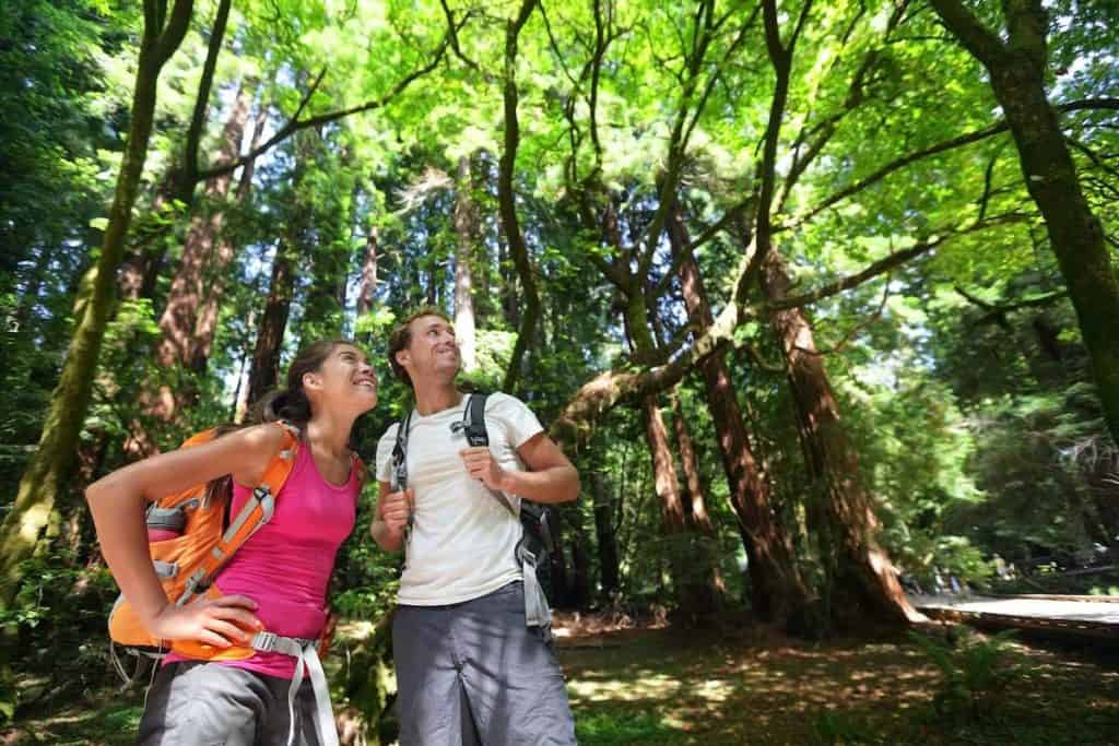 Muir Woods Tours